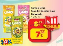 TAMEK LİMO LİMONATA ÇEŞİTLERİ 200 ML